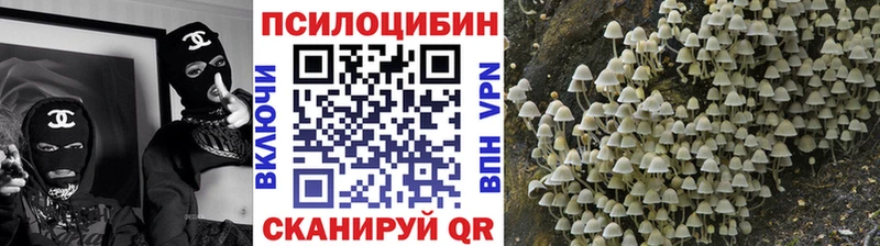 mega ссылки  мориарти формула  Галлюциногенные грибы мицелий  Барыш 