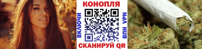 наркота  Барыш  Бошки марихуана сатива 